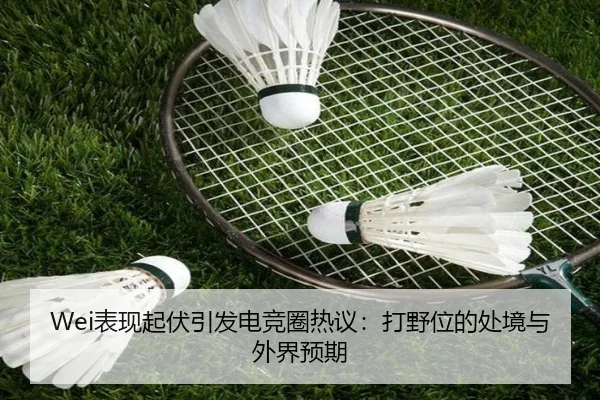 Wei表现起伏引发电竞圈热议：打野位的处境与外界预期